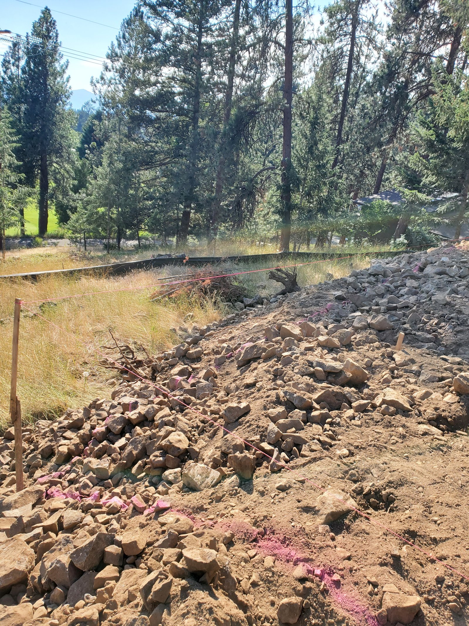 Discount Dirt Works project photo