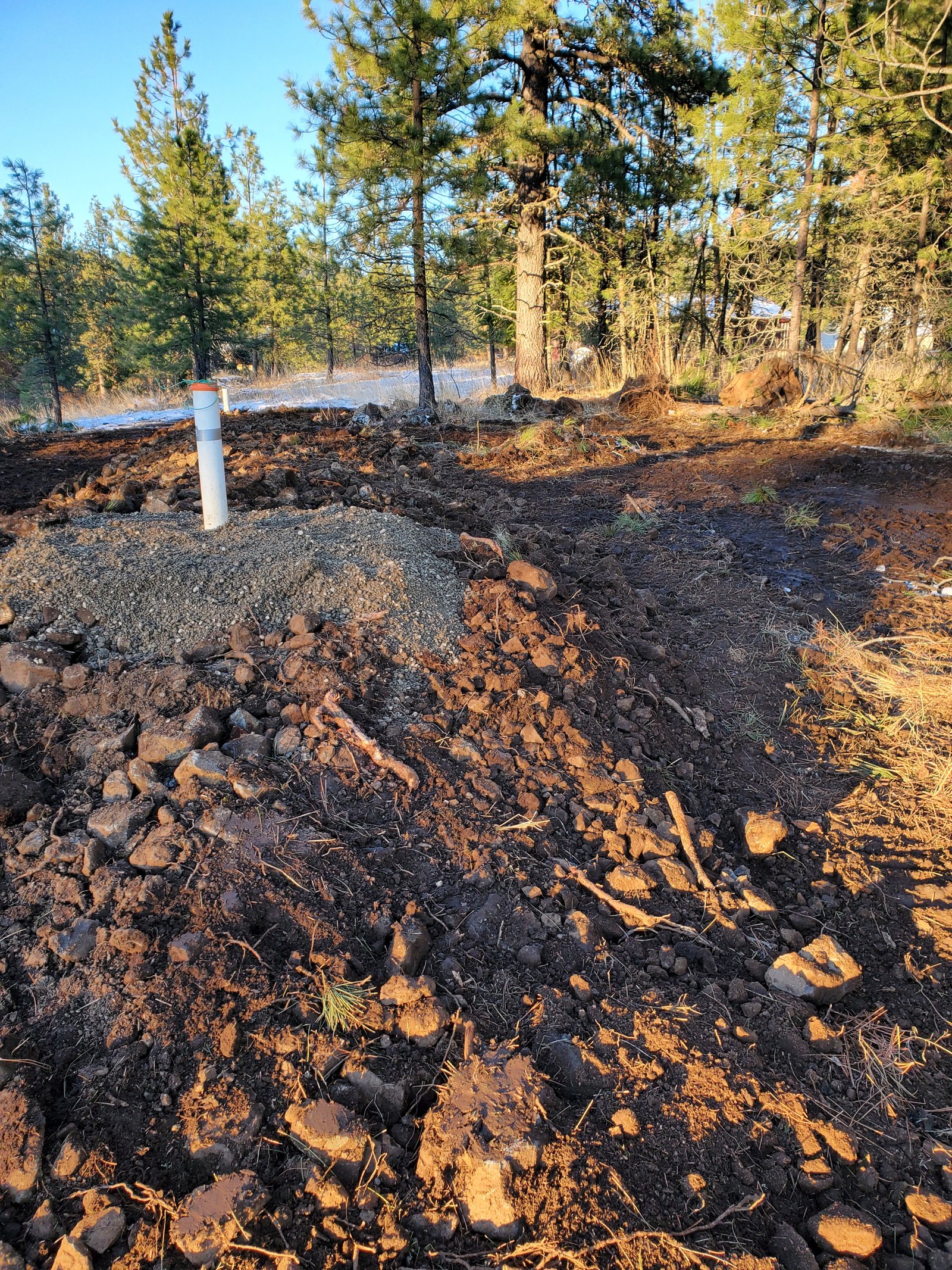 Discount Dirt Works project photo